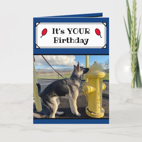 Its Your Birthday Funny Puppy Card
