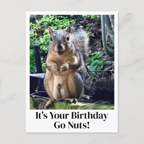 Its Your Birthday Go Nuts Funny Squirrel Joke Postcard