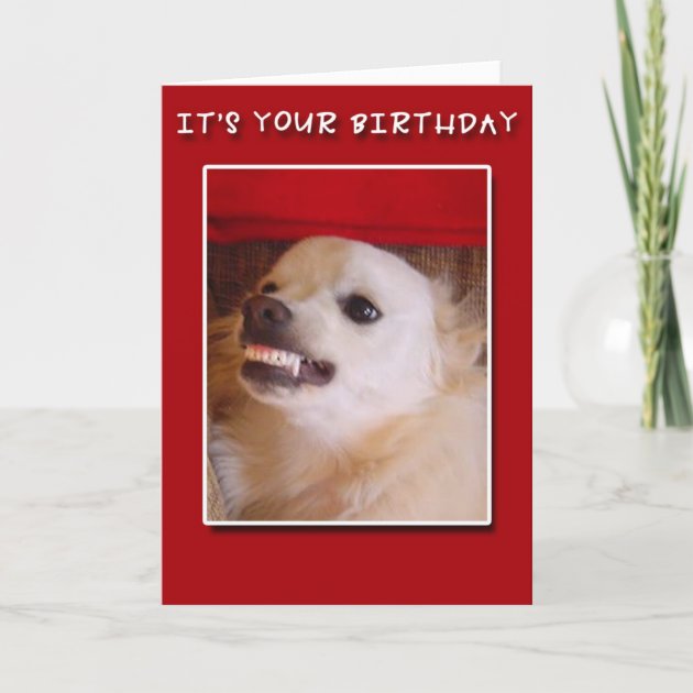 It's Your Birthday! Grinning Dog Birthday Card | Zazzle