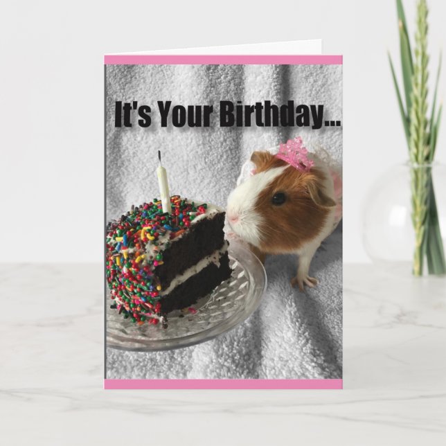 It's your birthday ...pig out card (Front)