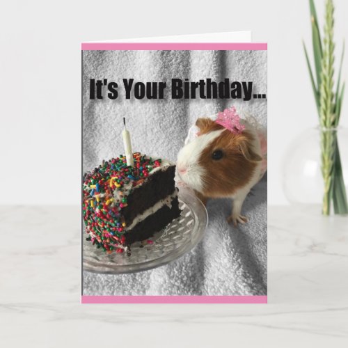 Its your birthday pig out card