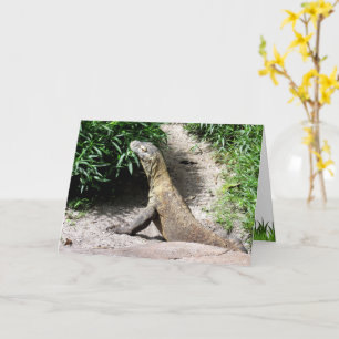 It's Your Birthday - Walk on the Wild Side Komodo  Card
