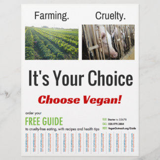 It's Your Choice Flyer