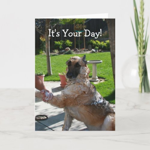 Its Your Day German Shepherd Birthday Card