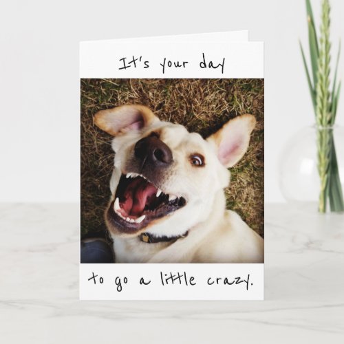 Its Your Day to Go A Little Crazy Birthday Card