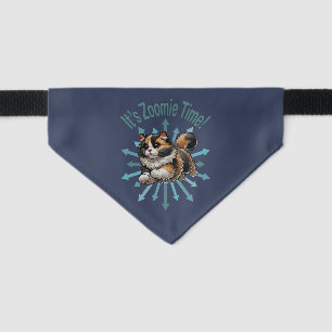 It's Zoomie Time Calico Cat Pet Bandana Collar