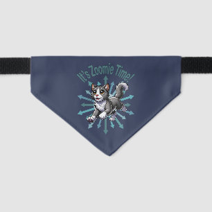 It's Zoomie Time Gray Bicolor Cat Pet Bandana Collar