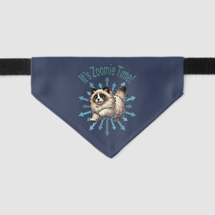 It's Zoomie Time Ragdoll Cat Pet Bandana Collar