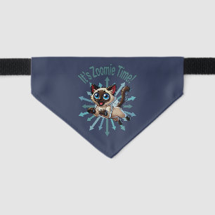 It's Zoomie Time Siamese Cat Pet Bandana Collar
