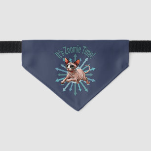 It's Zoomie Time Sphynx Cat Pet Bandana Collar