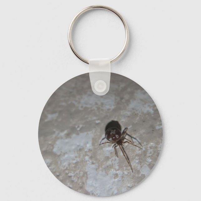 Itsy Bitsy Spider #3 Keychain (Front)