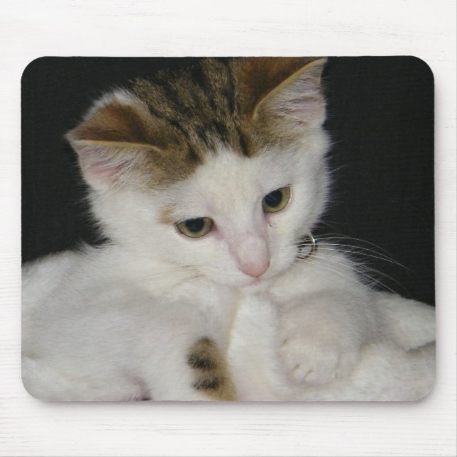 ITTY BITTY KITTY ALL IN WHITE MOUSE PAD (Front)