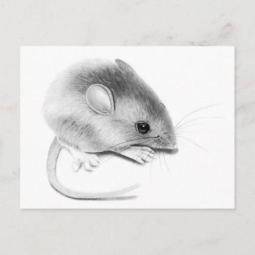 Itty Bitty Mouse Postcard