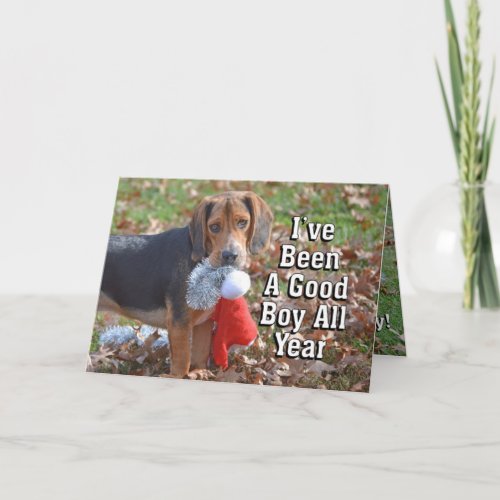 Ive Been A Good Boy All Year Beagle Dog Christmas Holiday Card