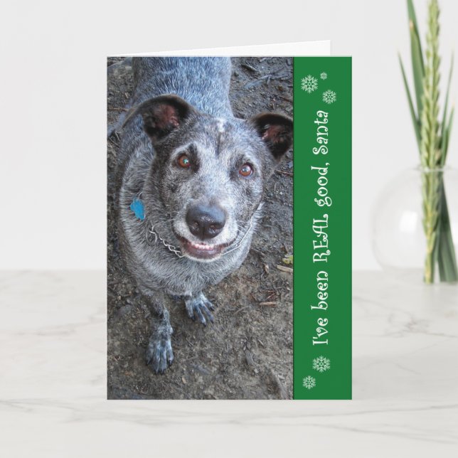 I've Been REAL Good Santa | Christmas Cards (Front)