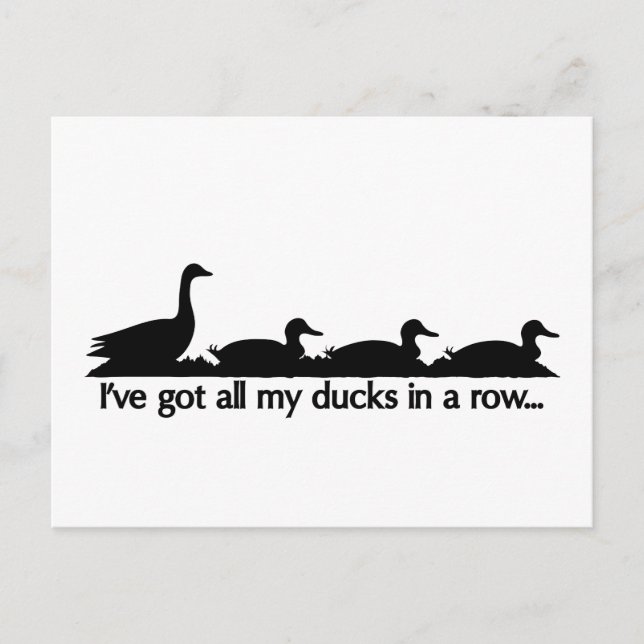 I've got all my ducks in a row... postcard (Front)