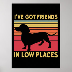 Ive got friends in low places poster