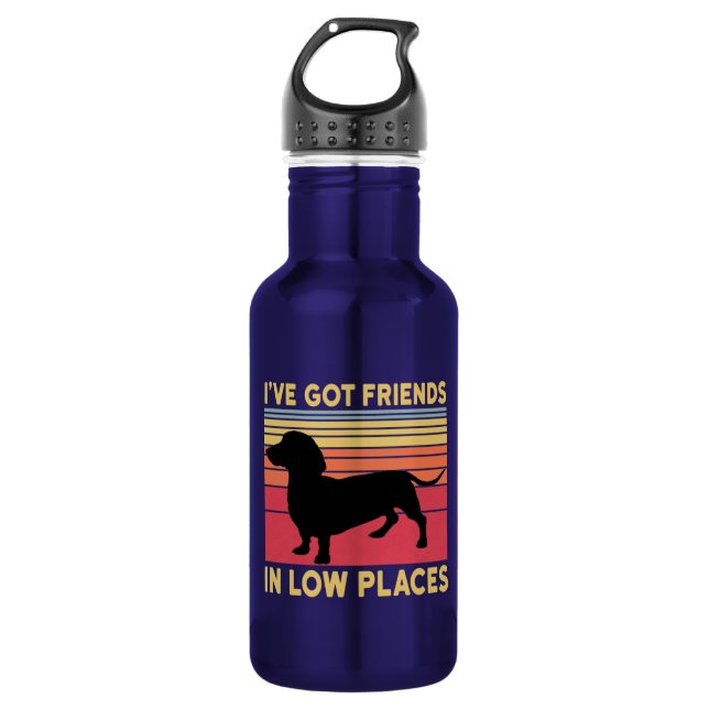 Ive got friends in low places stainless steel water bottle (Front)