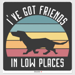 I've Got Friends in Low Places Sticker