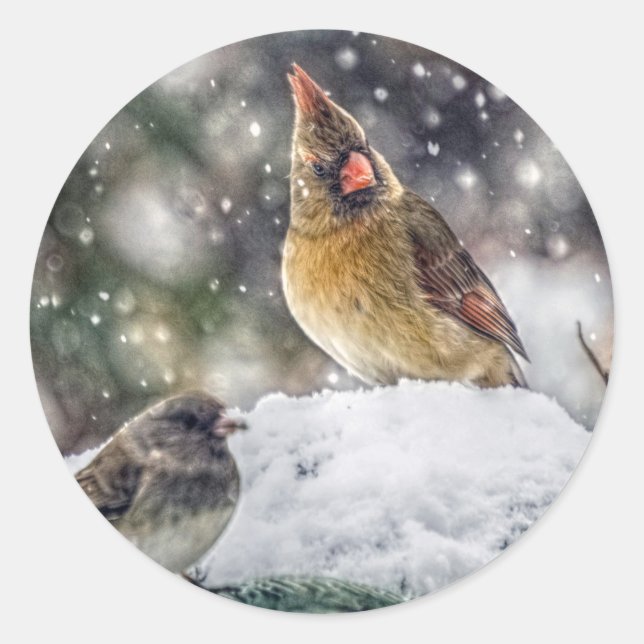 I've Got my Eye on You Classic Round Sticker (Front)