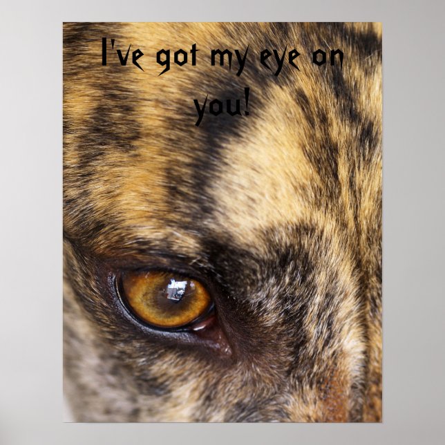 I've got my eye on you! poster (Front)