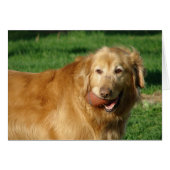 I've Got My Football (Front Horizontal)