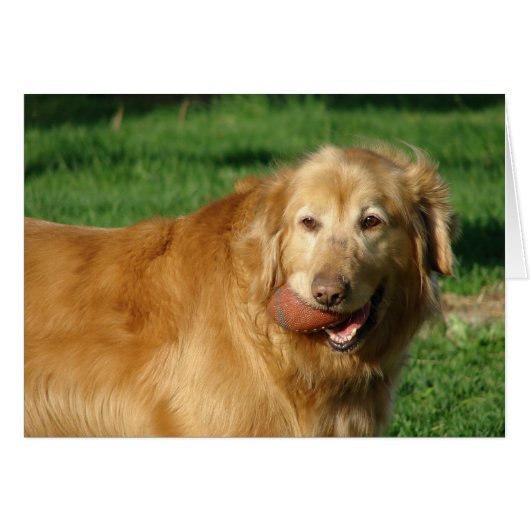 I've Got My Football (Front Horizontal)