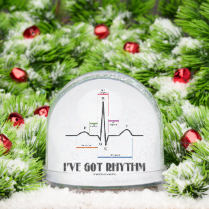 I've Got Rhythm ECG EKG Electrocardiogram Snow Globe