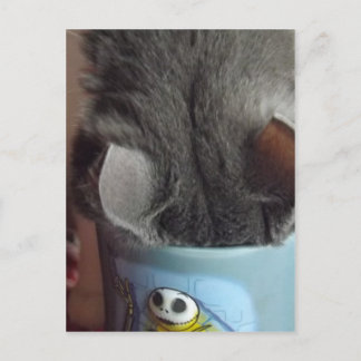 I'VE HAD MY COFFEE!! POSTCARD