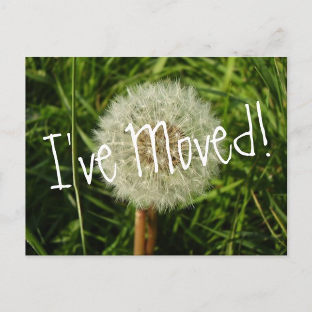I've moved postcard with Dandelion photograph (Front)