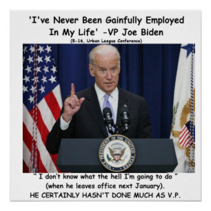 'I've Never Been Gainfully Employed' - Joe Biden Poster