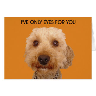 I've only eyes for you