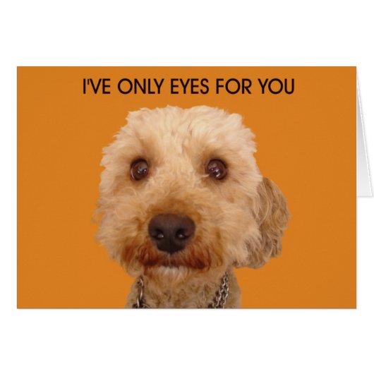 I've only eyes for you cards (Front Horizontal)