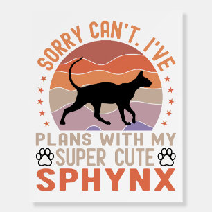 I've plans with my Sphynx cat Foam Board