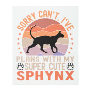 I've plans with my Sphynx cat Metal Print