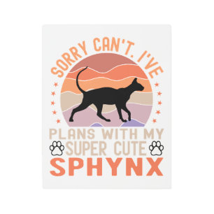I've plans with my Sphynx cat Metal Print