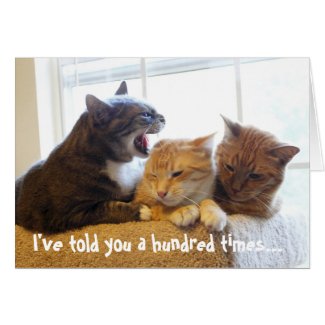 I've told you a hundred times... card