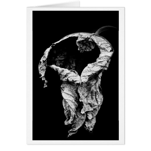 i've waited for you (Front)