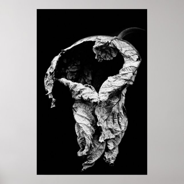 i've waited for you poster (Front)