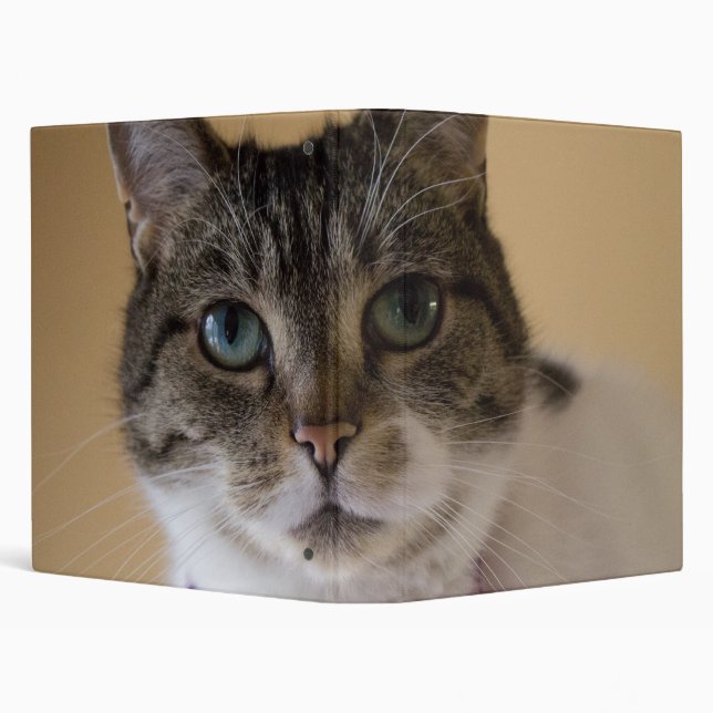 Ivey Binder (Background)
