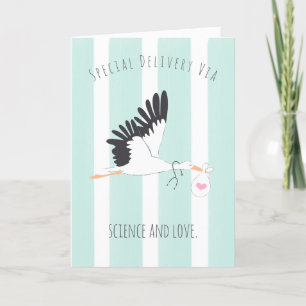 IVF Baby Stork’s Special Delivery Greeting Card 