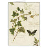 Ivies and Butterflies (Front)