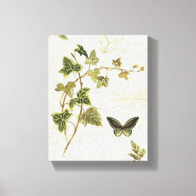 Ivies and Butterflies Canvas Print (Front)