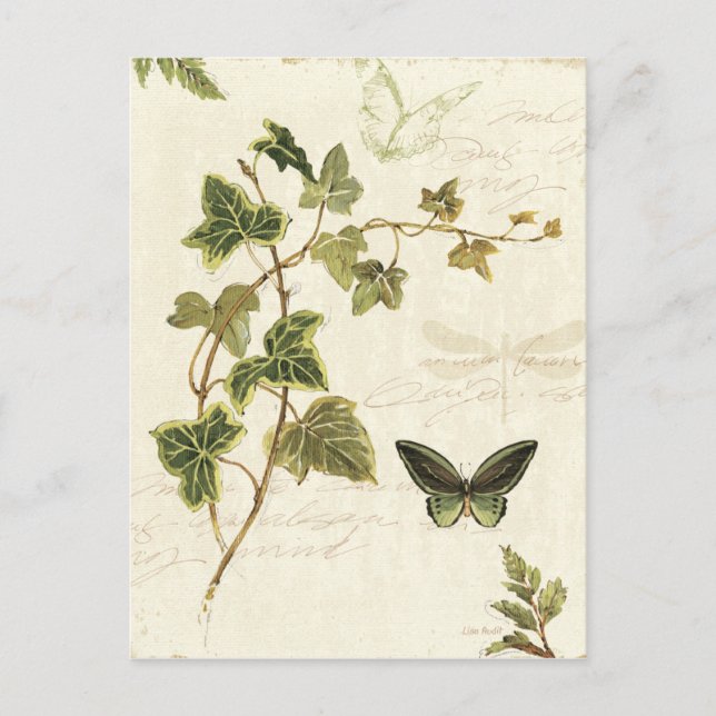 Ivies and Butterflies Postcard (Front)