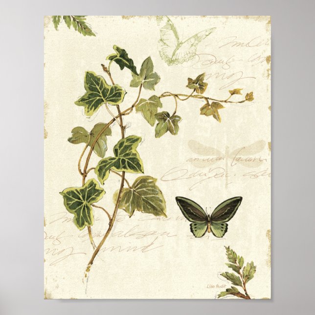 Ivies and Butterflies Poster (Front)