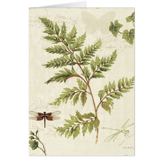 Ivies and Ferns Cards (Front)