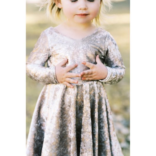 Ivory and Gold Foil Velvet Girls Twirl Dress (Front)