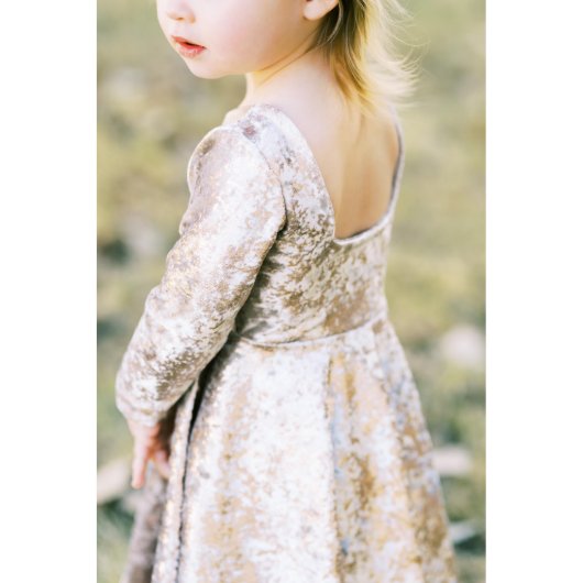 Ivory and Gold Foil Velvet Girls Twirl Dress (Back)