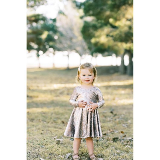 Ivory and Gold Foil Velvet Girls Twirl Dress (Front)