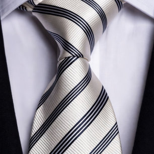 Ivory and Navy Striped Classic Luxury Neck Tie